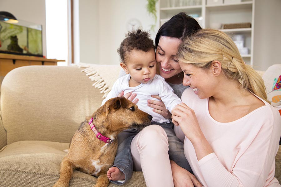 Contact - Moms Hold Their Baby as They Play With Their Small Brown Dog on a Tan Couch