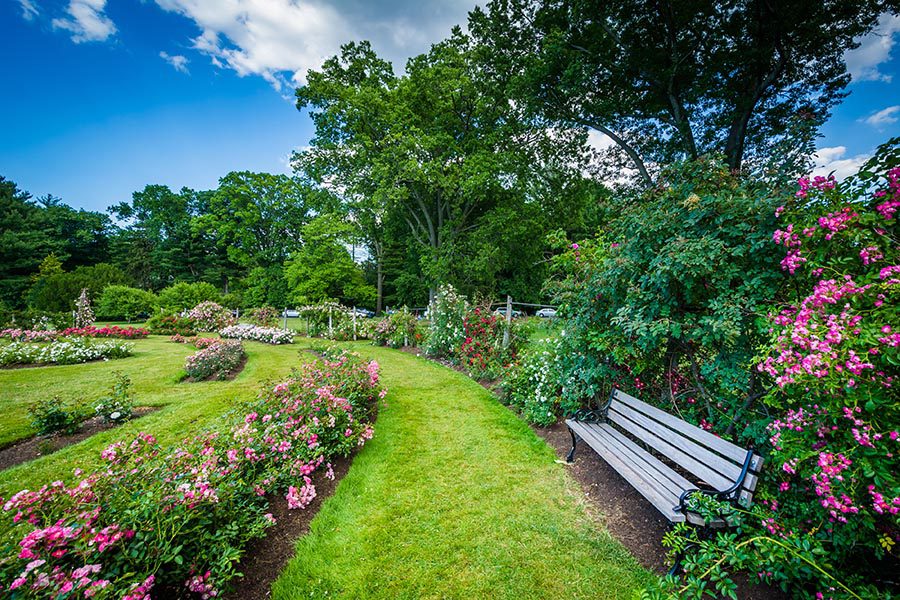 West Hartford, CT Insurance - Beautiful Rose Garden in West Hartford, Connecticut on a Sunny Day, With Benches and Trees